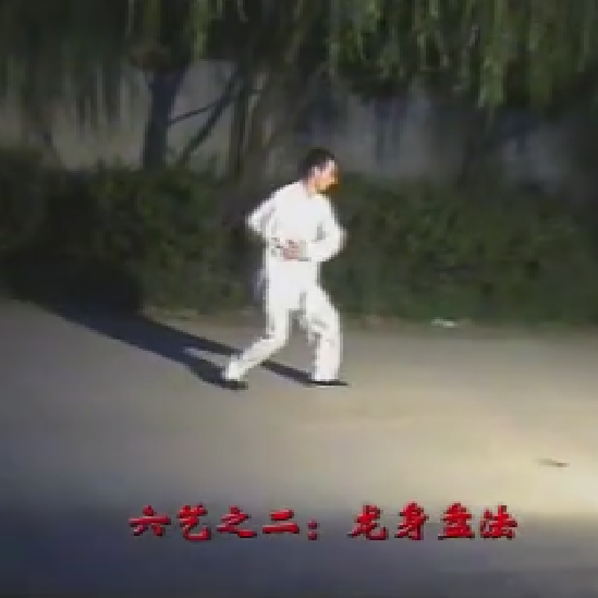 马雷石邓州心意六合拳1碟1.png