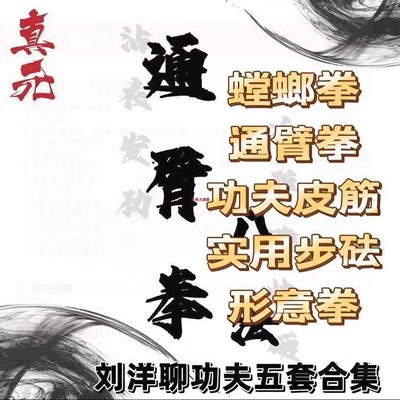 5套合集刘洋聊功夫螳螂拳通臂拳八砝功夫皮筋实用步砝训练形意拳.jpg