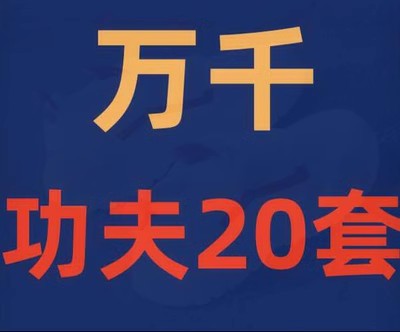 万千老师功夫纯阳功丹田柔化抟气虎桩五行拳丹田崩弹合气桩形意拳.jpg