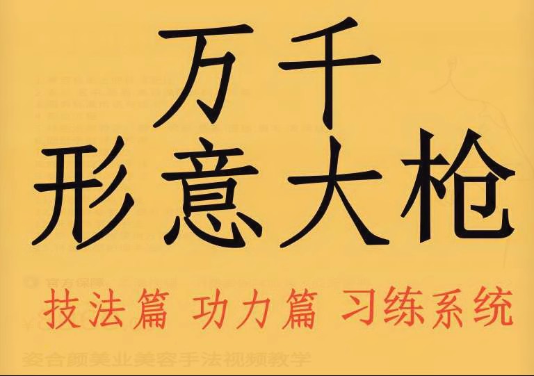 万千形意大枪形意五行枪技法篇形意大枪功力篇形意大枪习练系统.jpg