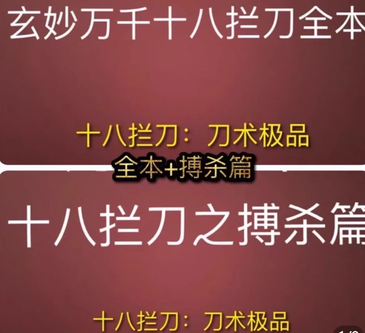 功夫者玄妙万千十八拦刀全本 十八拦刀搏杀篇 视频课程传统武术.jpg